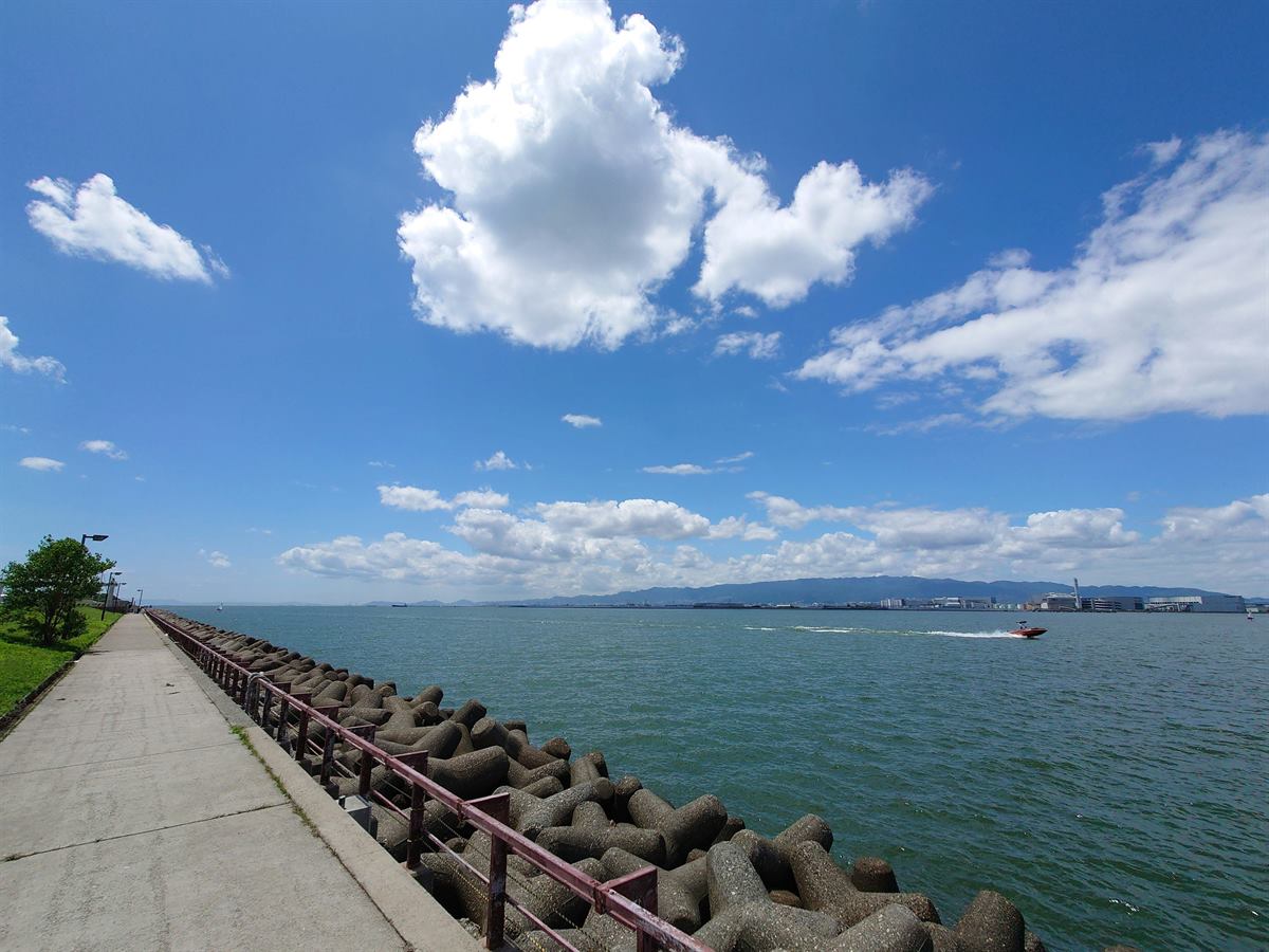 Shin-Osaka y zona de la bahía